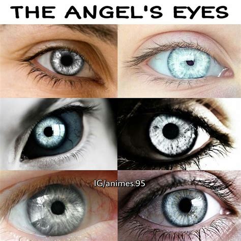 angelseyes|angel eye app for computer.